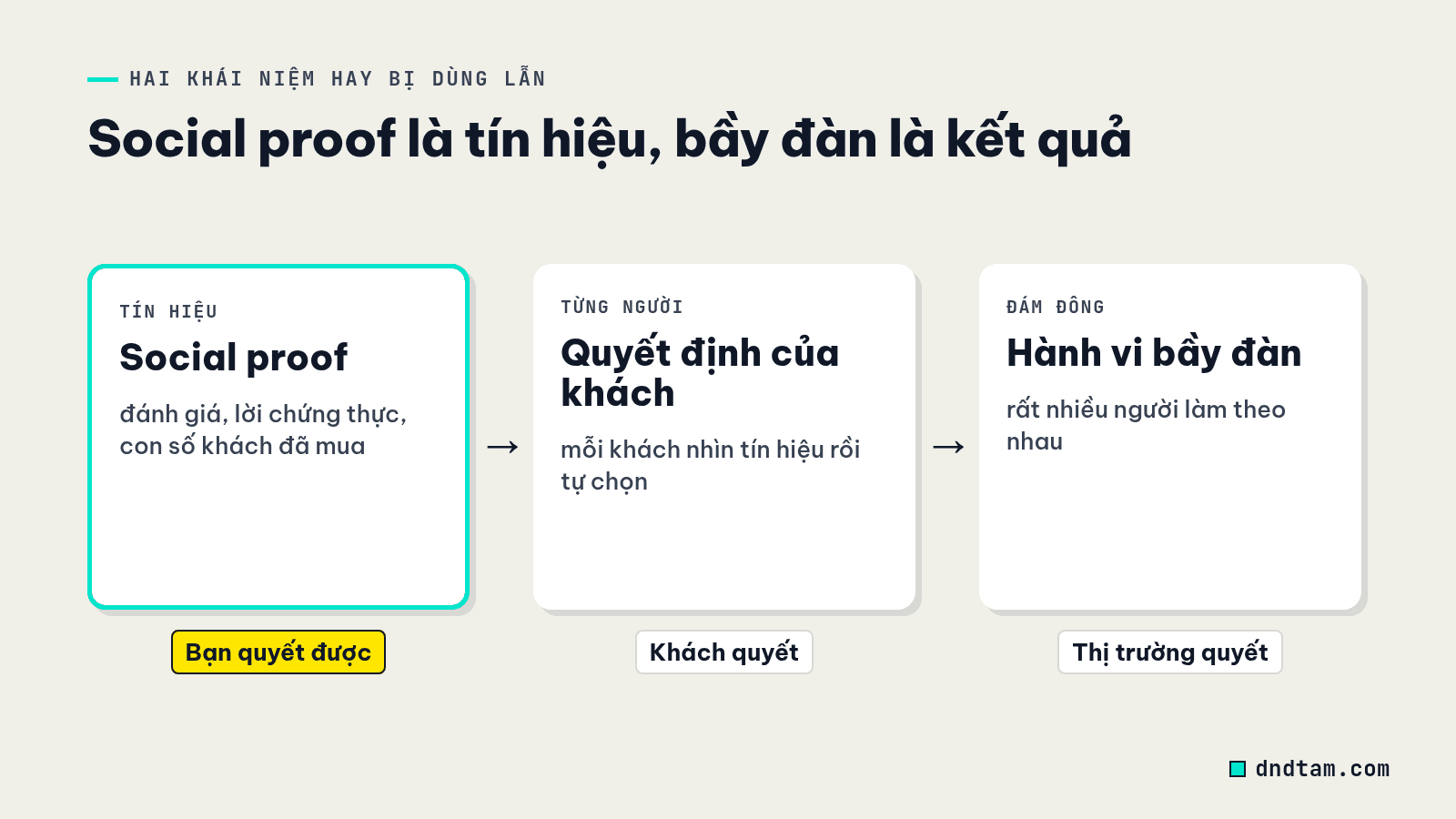 Sơ đồ phân biệt social proof và hành vi bầy đàn: tín hiệu do doanh nghiệp đưa ra, quyết định của từng khách, rồi đám đông làm theo nhau