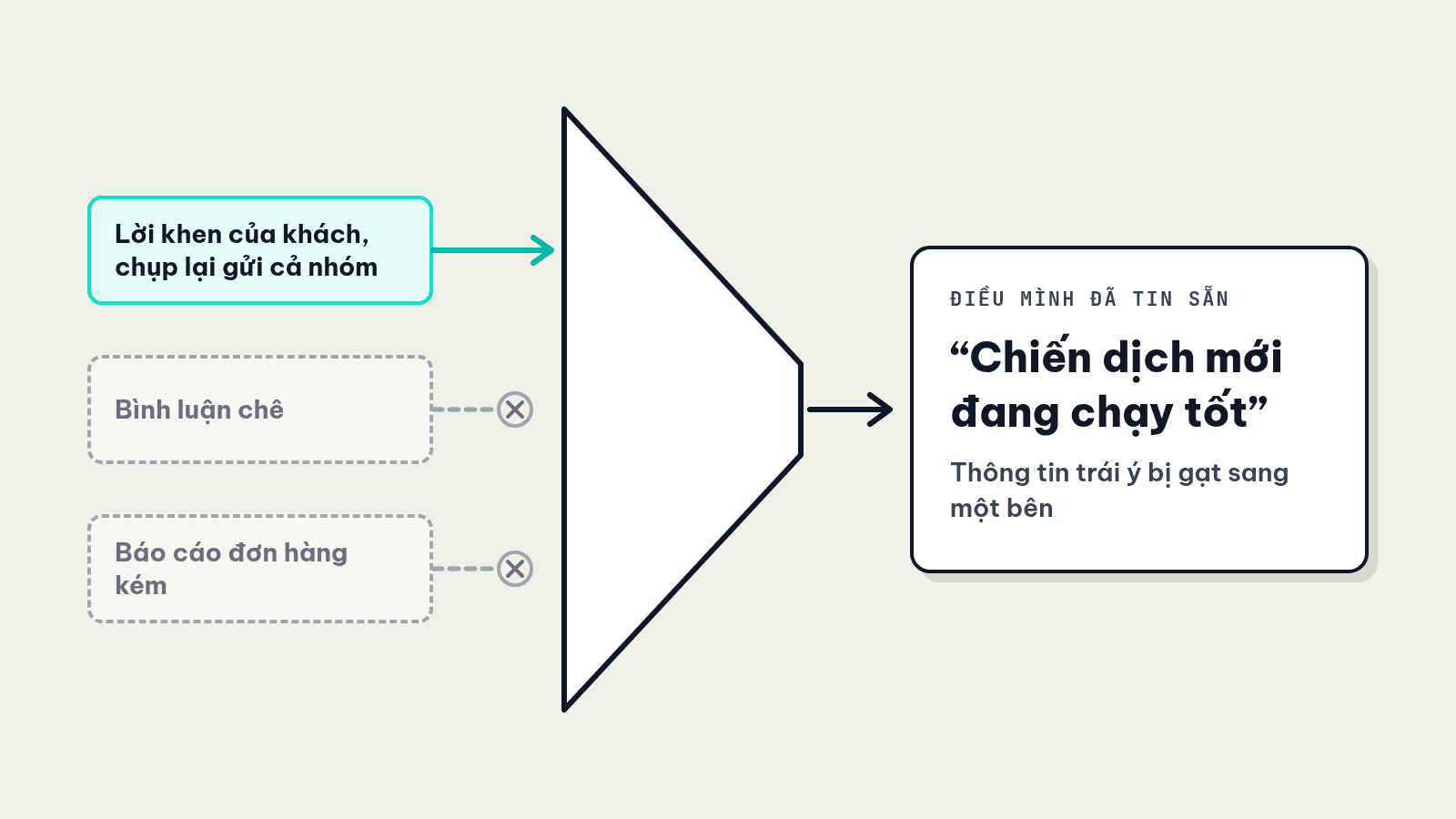 Sơ đồ phễu lọc thông tin của người tin chiến dịch mới đang chạy tốt: lời khen được chụp lại gửi cả nhóm, còn bình luận chê và báo cáo đơn hàng kém bị gạt sang một bên